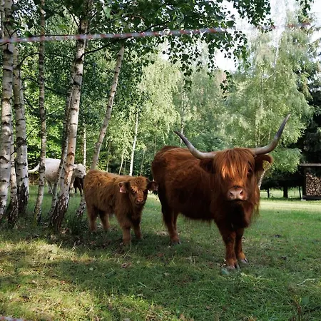 Na Bečvách Prázdninový dům